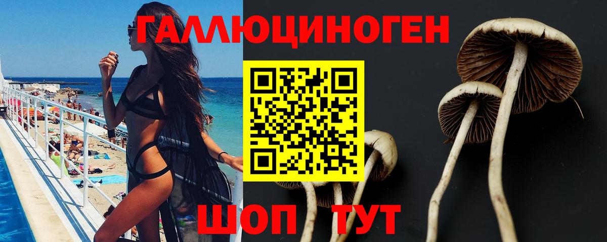 Урюпинск  Псилоцибиновые грибы Magic Shrooms  Вход с VPN 