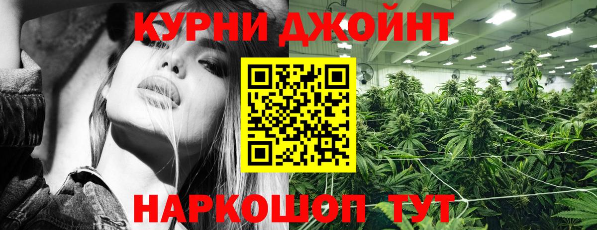 Марихуана план  Бошки марихуана ГИДРОПОН  Урюпинск  Вход с VPN  Канабис Ganja  Бошки Шишки индика 